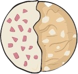 Group_26-removebg-preview